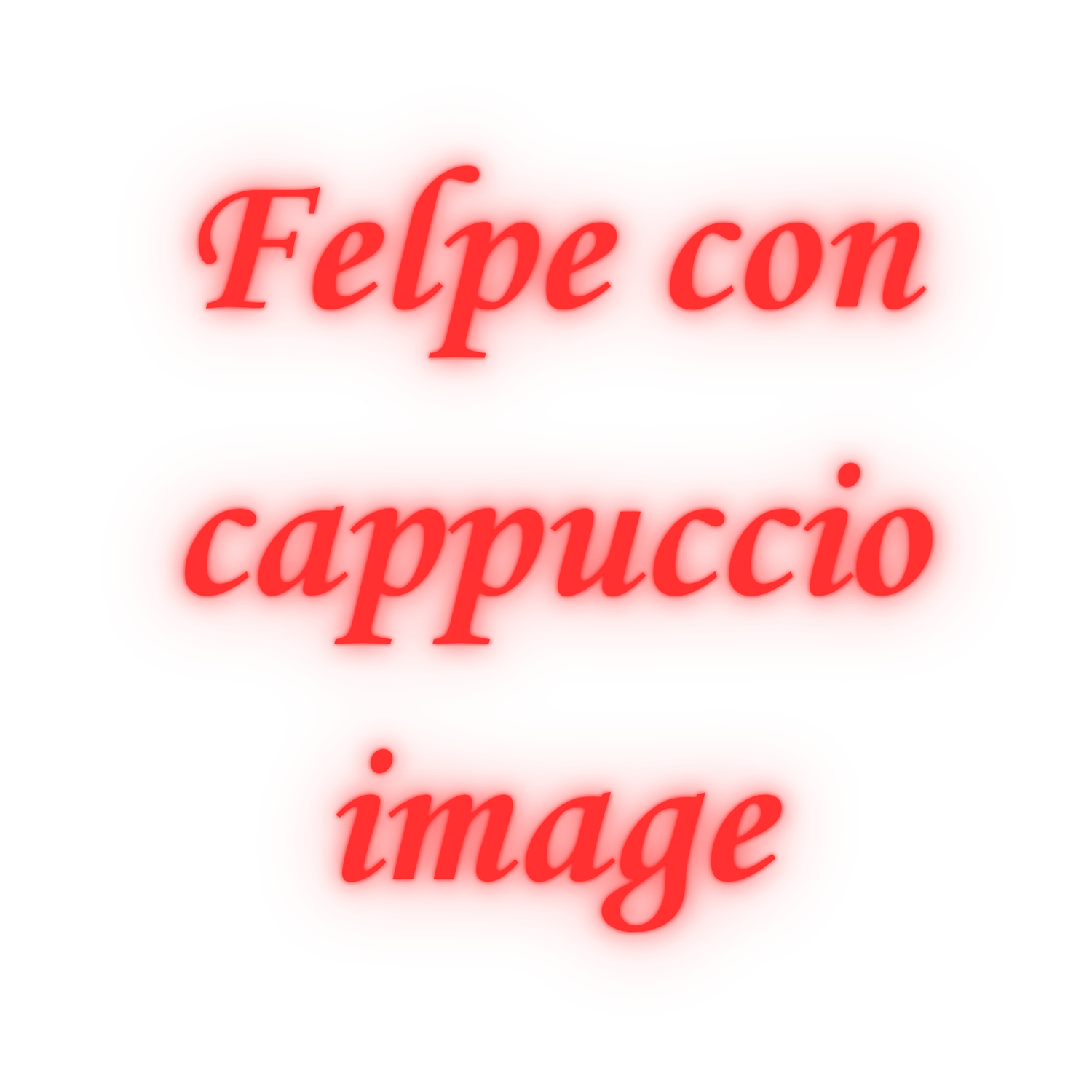 Felpe con cappuccio image